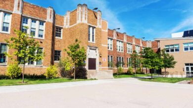 Illinois Elementary Education Programs with the Highest Graduate Employment Rates