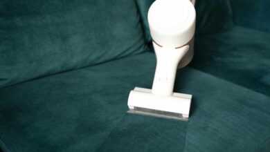 Upholstery Cleaning Christchurch