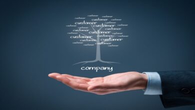 Why Should You Trust Tree Company in New Jersey